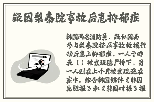 日本WINDOWS Phone发展历程